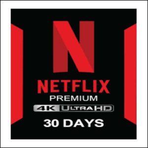 Netflix 4k 1 Month